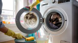 How to remove mould from your washing machine drawer – and stop it coming back