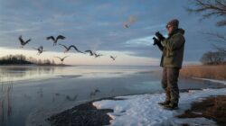 Meteorologists warn early February Arctic breakdown may confuse animal migration cues scientists track closely